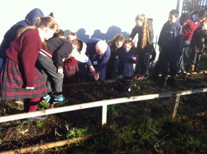 Digging for the soil!