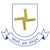 Scoil Bhride NS