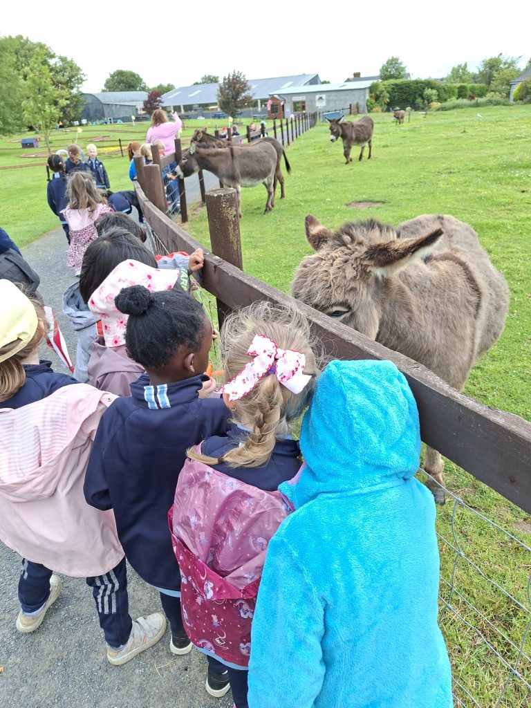 Junior Infants School Tour
