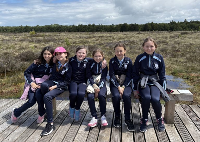 Trip to Abbeyleix Bog – 4th Class