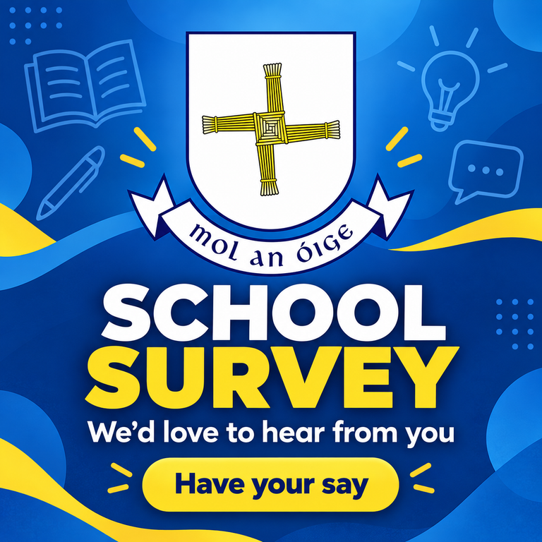 School Survey